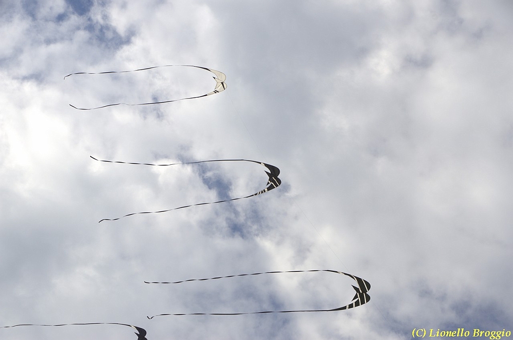 32 FESTIVAL CERVIA 2012 - 325.jpg